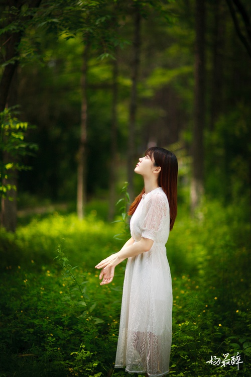 gallery-863360905f.jpg