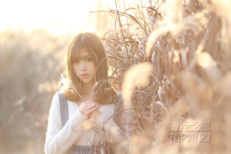 gallery-89d8ba25b2.jpg
