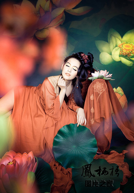 gallery-8c12ffb498.jpg