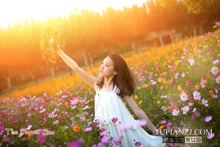 gallery-8ecbf7f888.jpg