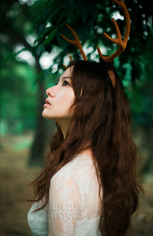 gallery-8ede0ae217.jpg