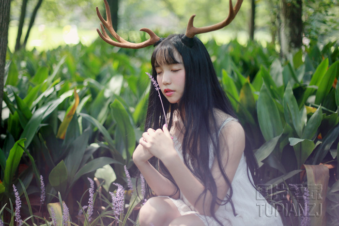 gallery-8f7709ffd5.jpg