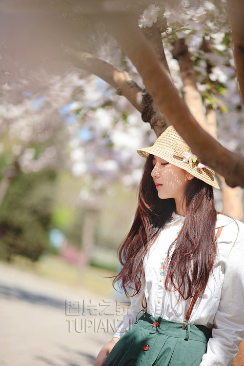 gallery-9637776452.jpg