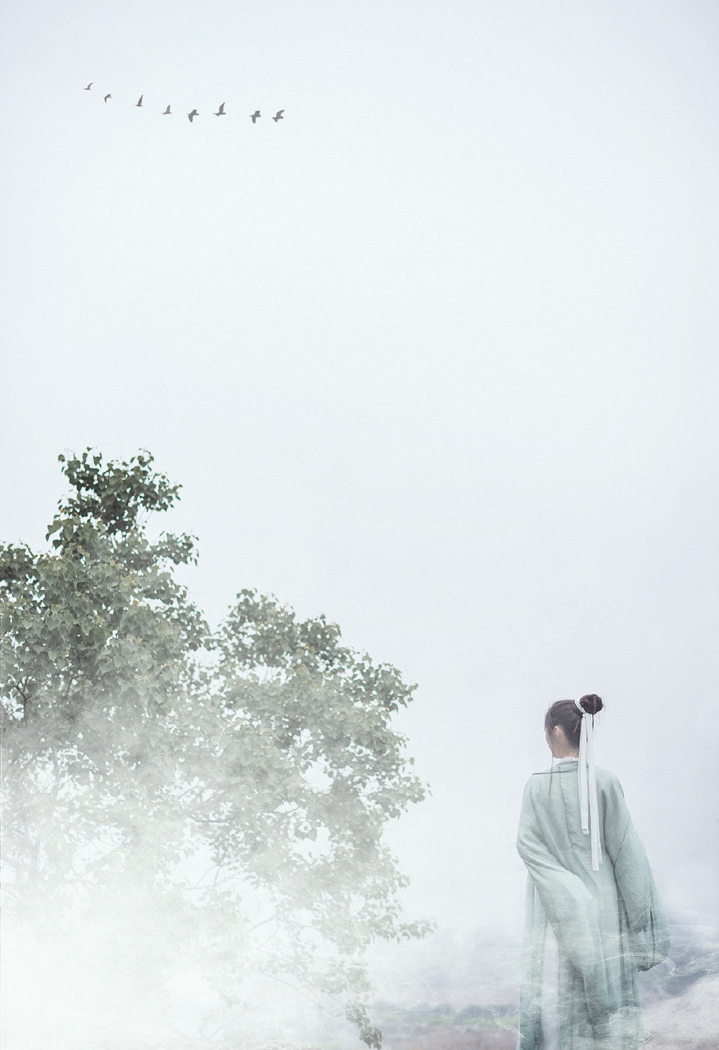 gallery-96bb46ff2a.jpg