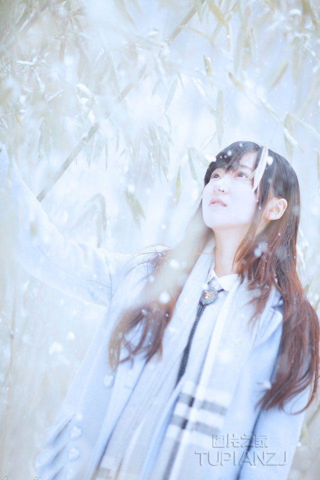 gallery-9ff64d6b3c.jpg