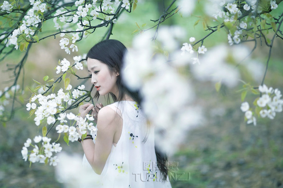 gallery-a474385570.jpg
