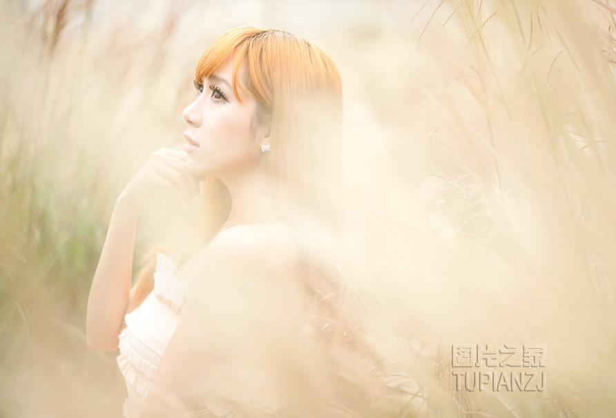 gallery-a572f288f4.jpg