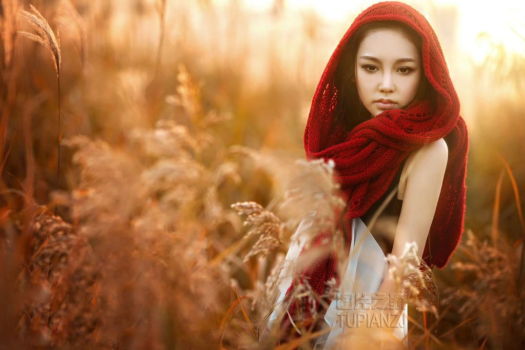 gallery-aa711de061.jpg
