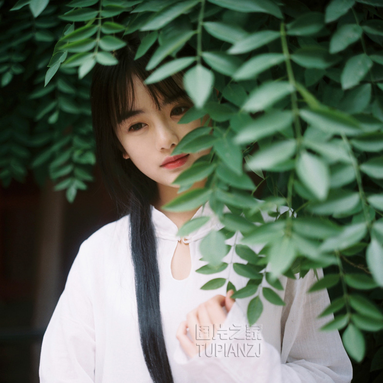 gallery-af933d8ce9.jpg