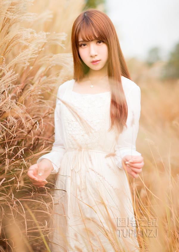 gallery-b3acc99c28.jpg