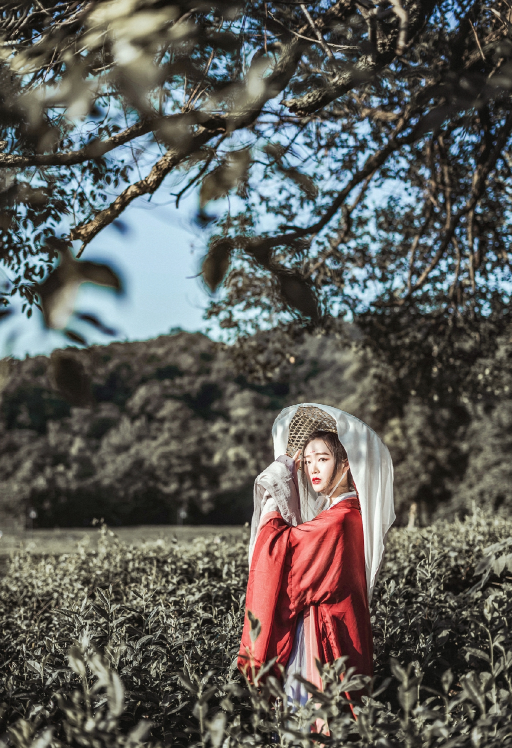gallery-b935d84096.jpg