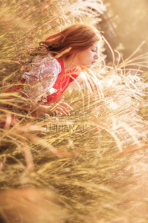 gallery-bd591326be.jpg