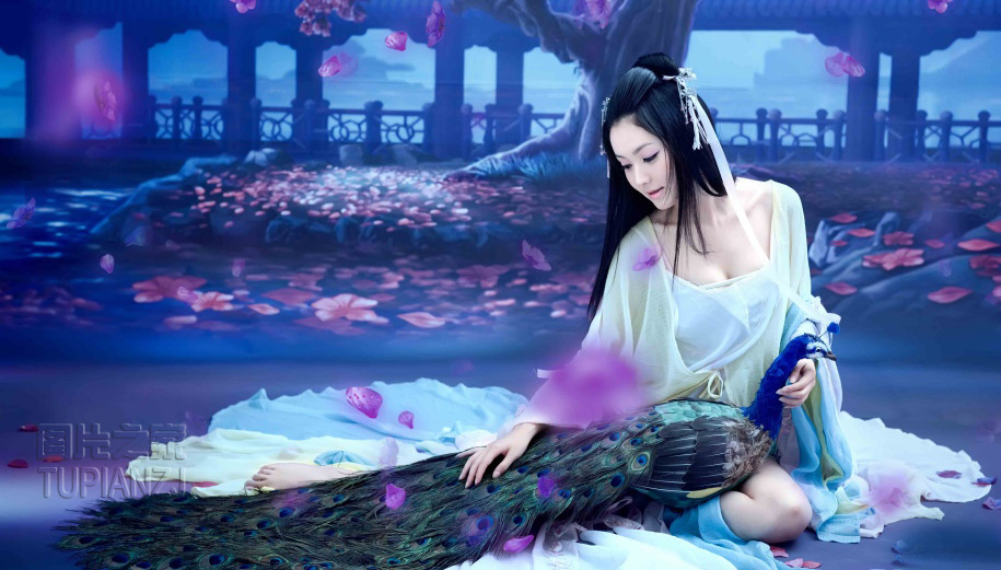 gallery-c0da39fb99.jpg
