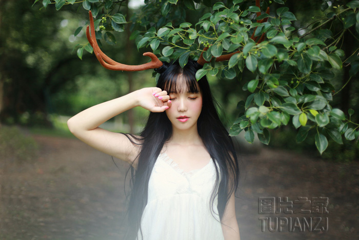 gallery-c3455bd1d8.jpg