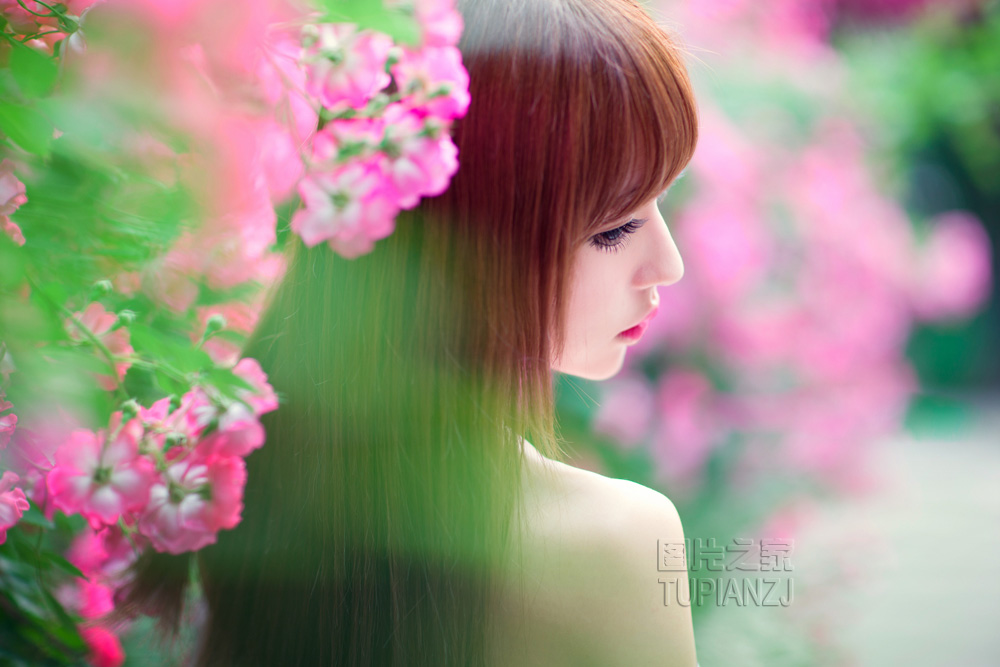 gallery-d48882ebd6.jpg