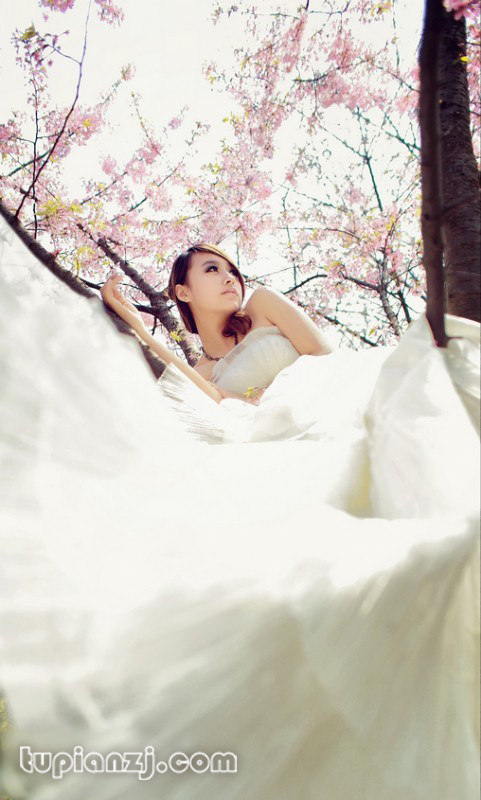 gallery-e1af3cf6a1.jpg