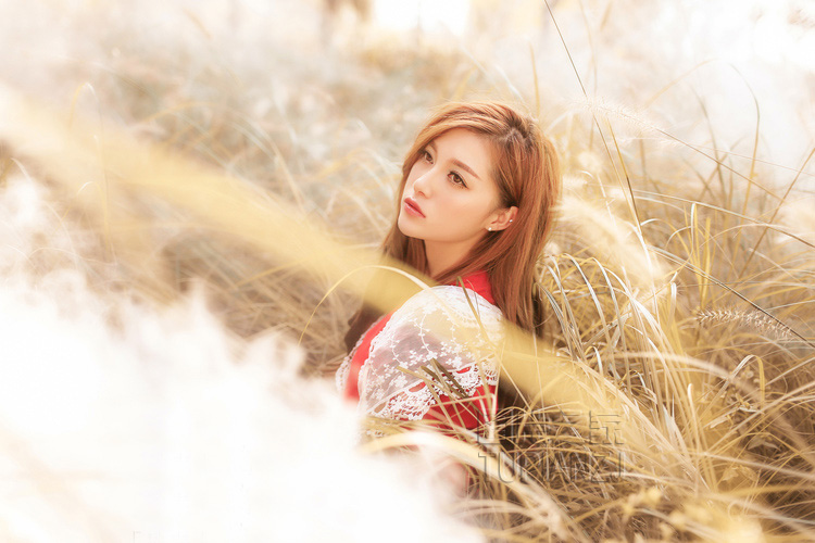 gallery-e4c1365796.jpg