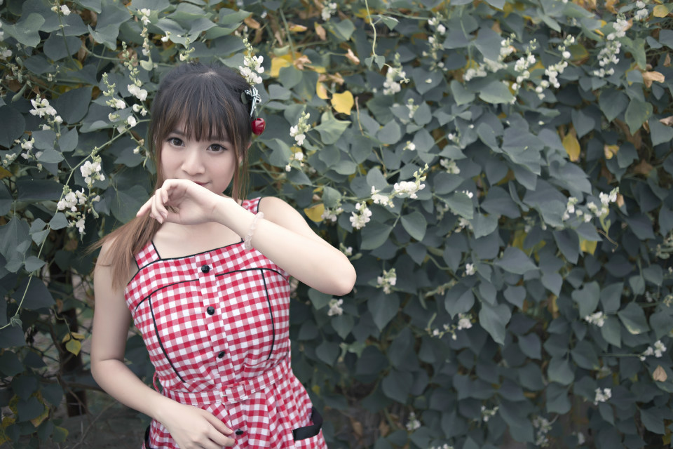 gallery-e70b133f28.jpg