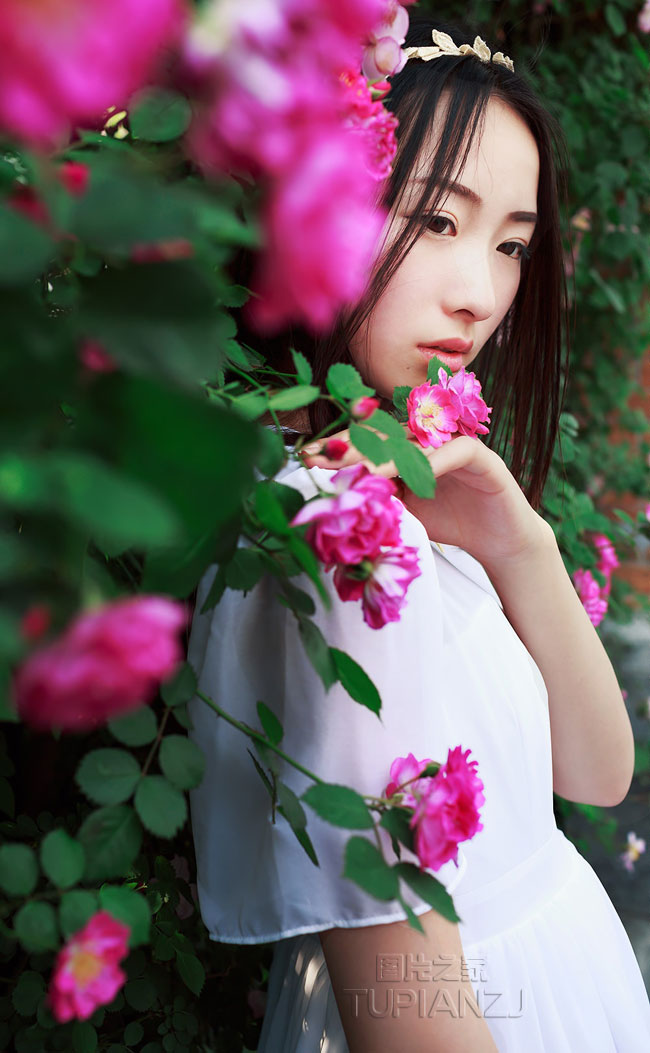gallery-e8bcebd5bc.jpg