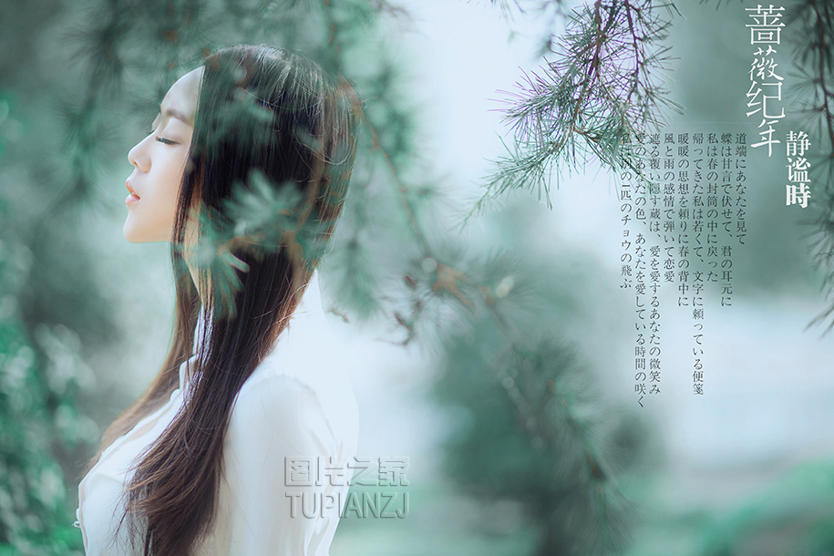 gallery-e9877b52de.jpg