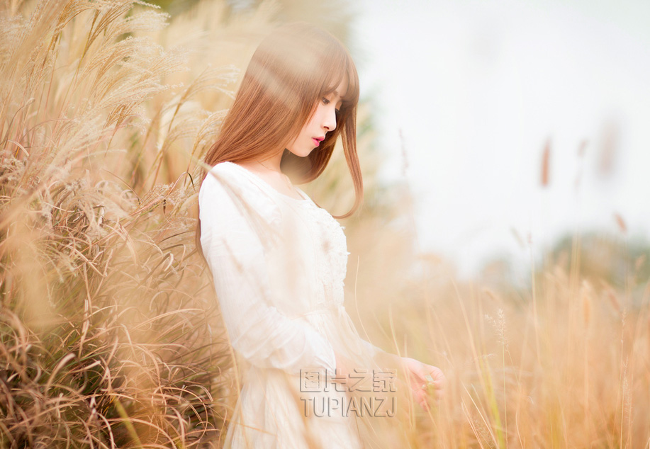 gallery-ee4f345ebe.jpg