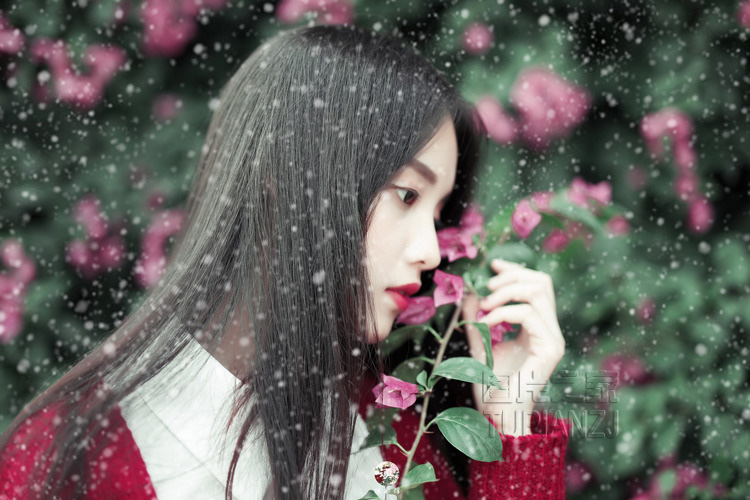 gallery-f39e20bc7e.jpg