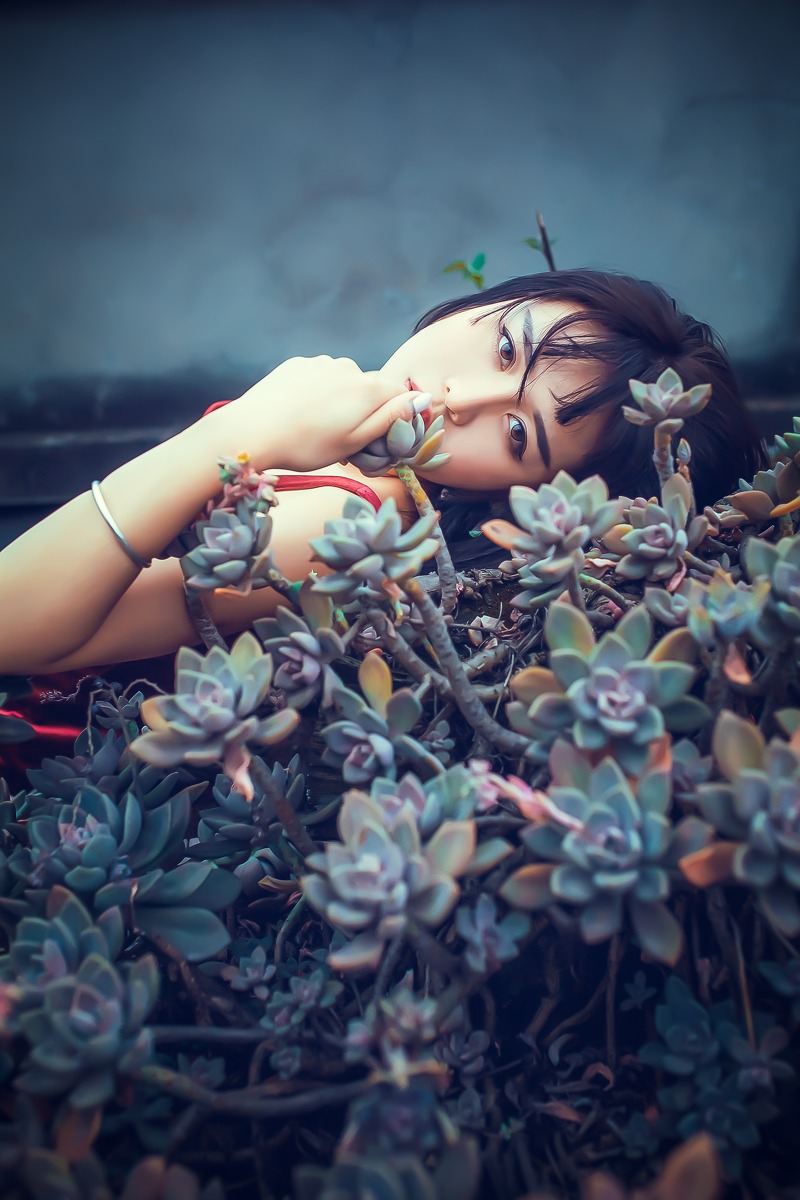 gallery-fd3d11c1d0.jpg